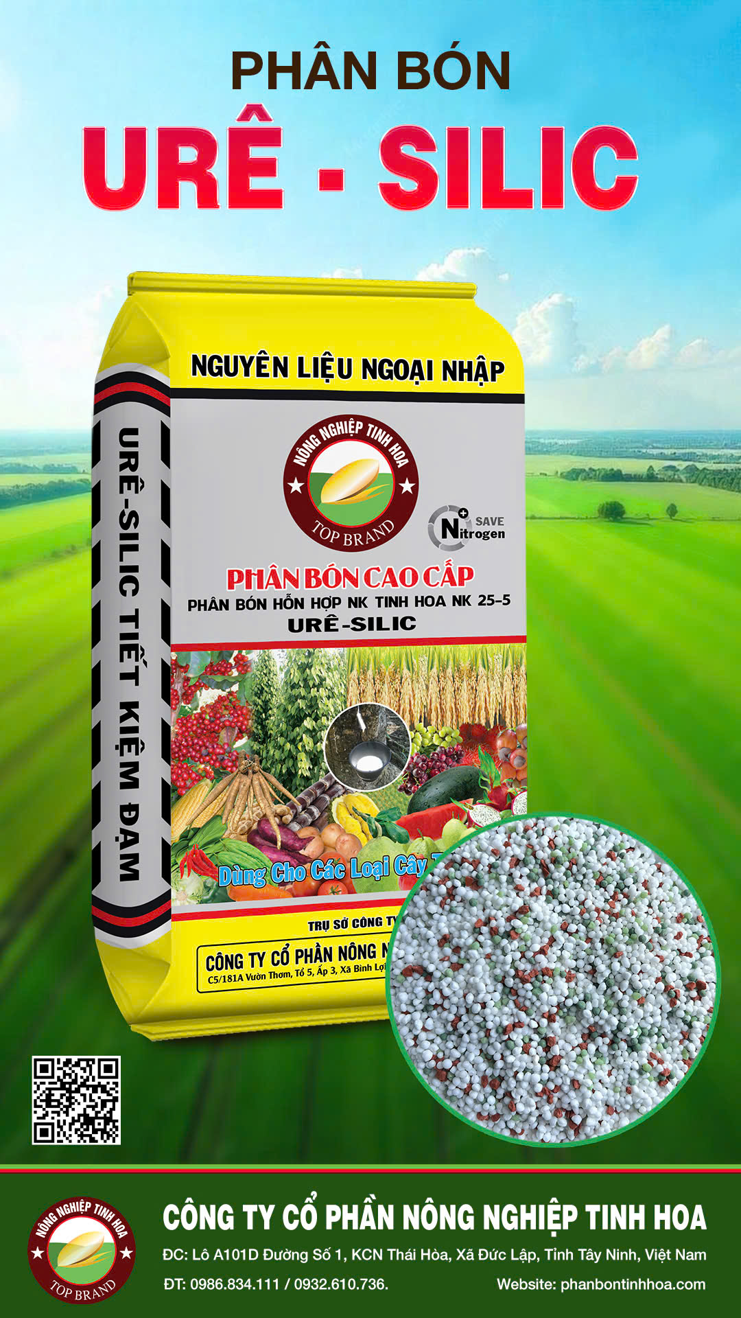 URÊ SILIC - Hình ảnh 2