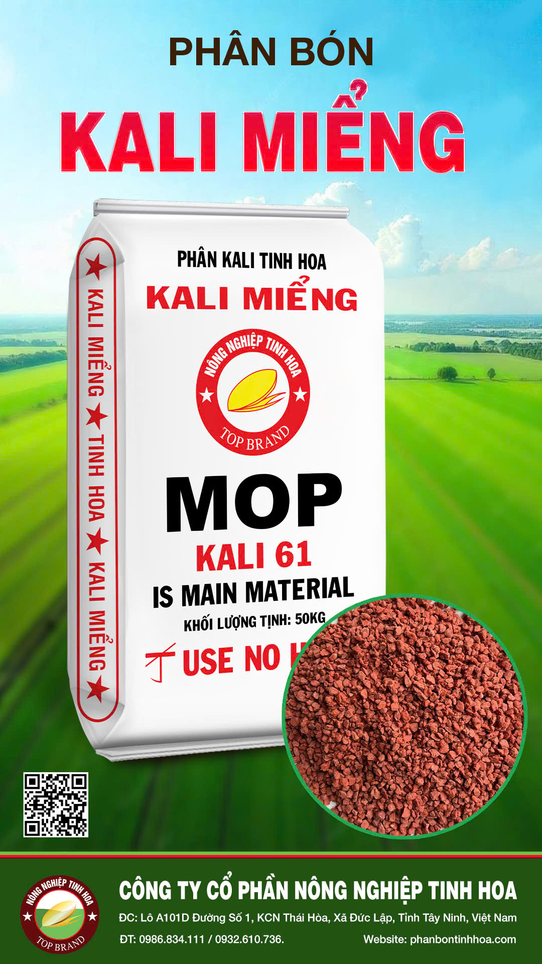 KALI MIỂNG - Hình ảnh 2