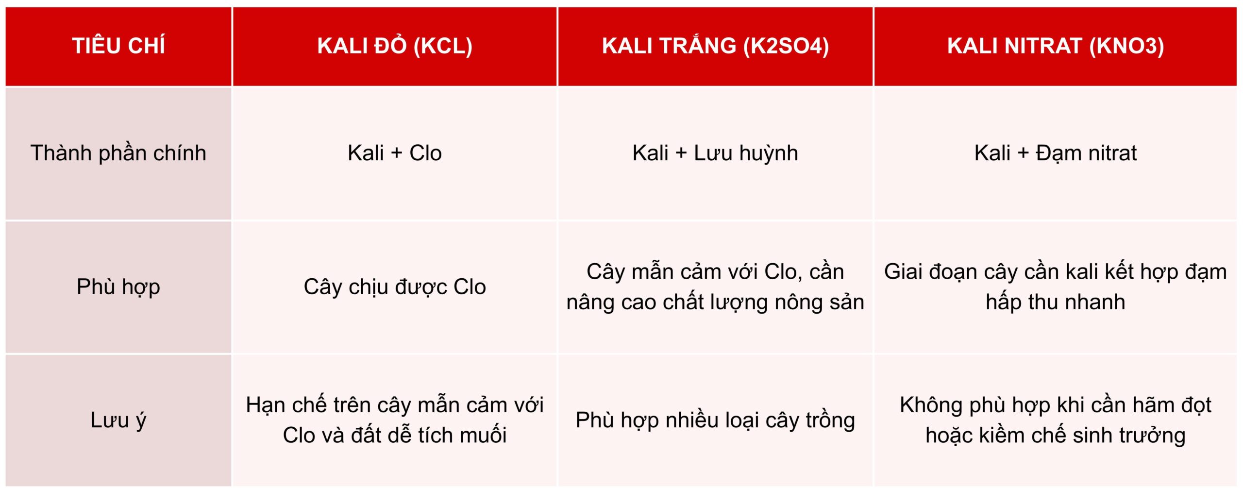 HƯỚNG DẪN CHỌN ĐÚNG PHÂN KALI: KHI NÀO NÊN DÙNG KALI ĐỎ (KCL), KALI TRẮNG (K2SO4) VÀ KALI NITRAT (KNO₃) ?